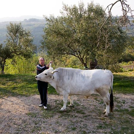 Tourist Farm Robivera Šmarje Kültér fotó