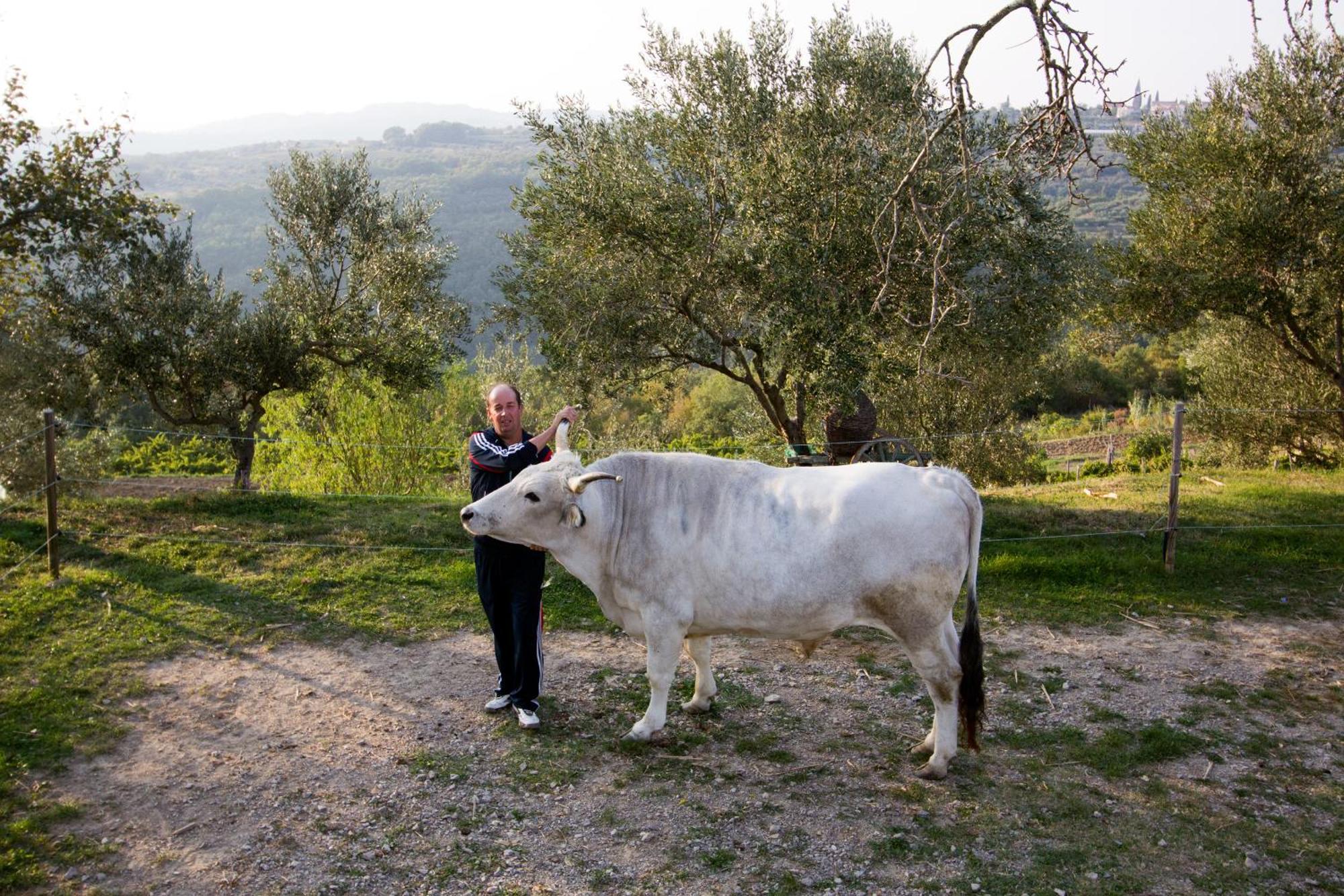 Tourist Farm Robivera Šmarje Kültér fotó